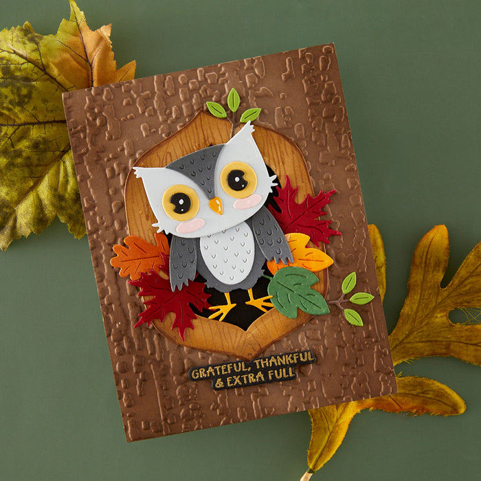 3D Embossing Folder of the Month Membership