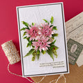 Astrantia Etched Dies by Susan Tierney-Cockburn