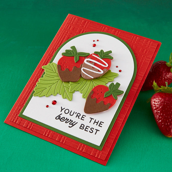 Berry Best Stamp & Die Bundle by Simon Hurley
