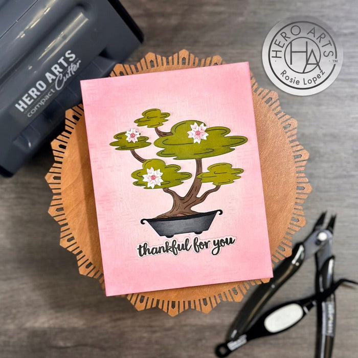 Bonsai Fancy Dies