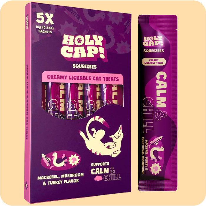 calm & chill cat | holy cap!