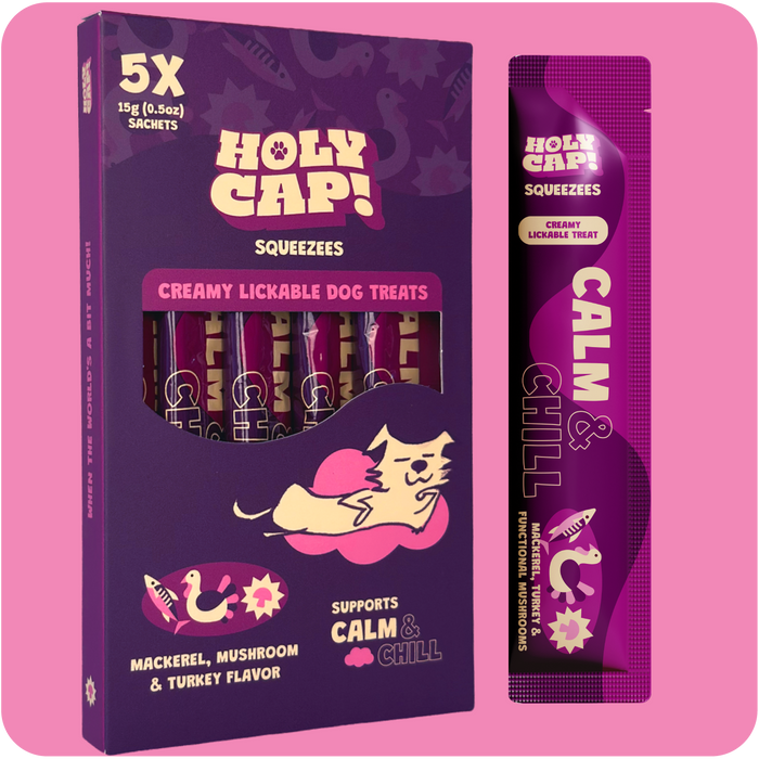 calm & chill dog | holy cap!
