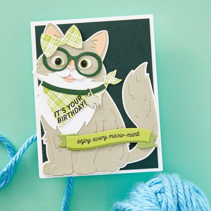 Cats and Pugs Sentiments Clear Stamp Set from the Bibi's Cats and Pugs Collection by Bibi Cameron