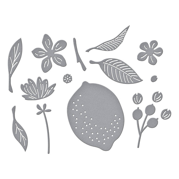 Citrus Spritz Etched Dies