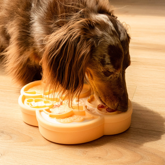 cloud nine lick mat & lid | clementine