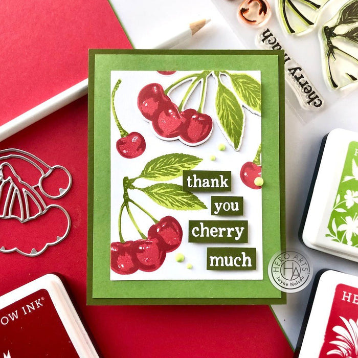 Color Layering Cherries Clear Stamp Set