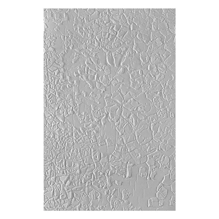 Crackle Paint 3D Embossing Folder
