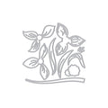 Daffodil Fancy Dies