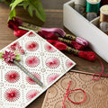 DMC Collector's Edition - Variegated Floss Collection 36 Pack