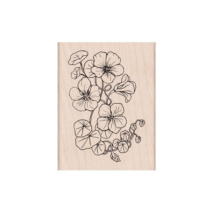 Flowering Nasturtium Woodblock Stamp