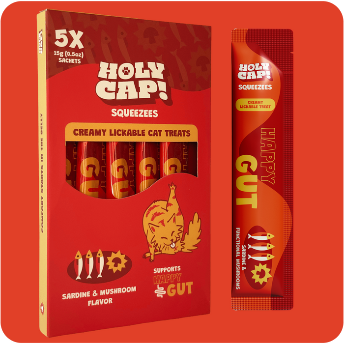 happy gut cat | holy cap!