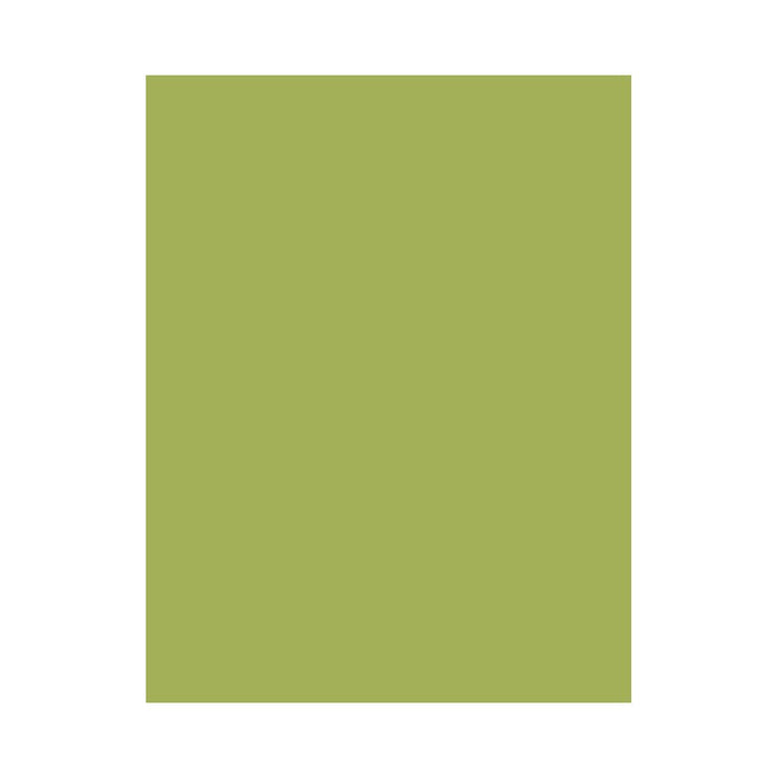 Hero Hues Premium Cardstock Kiwi