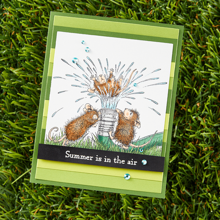 House-Mouse Summer Fun Collector Bundle