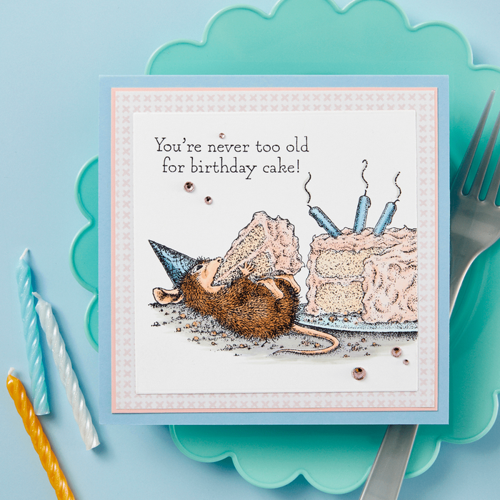 House-Mouse Summer Fun Collector Bundle