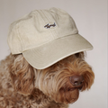 OBG sunnies cap - miso