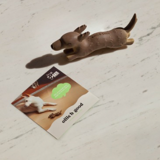 ollie squeaker toy