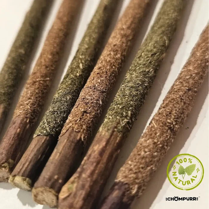 pawky silvervine & catnip teething sticks | chompurr