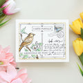 Post Card Hello - Press & Foil Plate of the Month