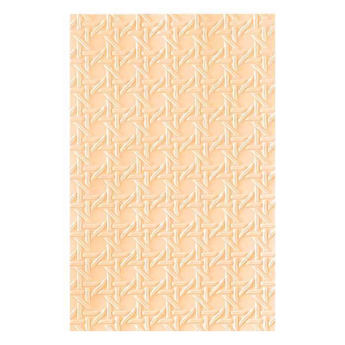 Rattan Cane 3D Embossing Folder by Simon Hurley