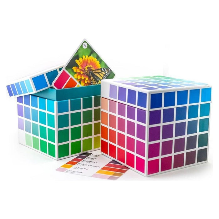 Sarah Renae Clark  Color Cube Bundle, 2nd Edition (Volumes 1 & 2)