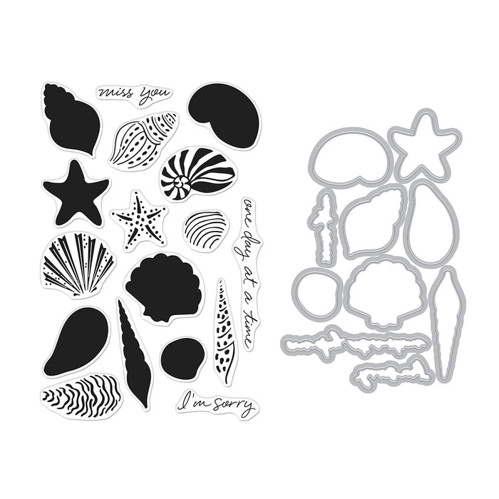 Seashells Stamp & Cut Set of the Month - June 2025
