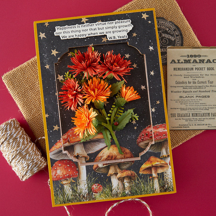 Serenity Garden Die Bundle by Susan Tierney-Cockburn