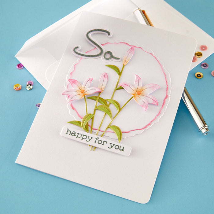 So Amazing Sentiments Clear Stamp & Die Set by Lisa Horton
