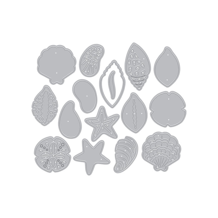 Sophisticated Shells Etched Die Set