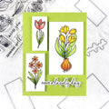 Spring Blooms Stamp & Cut of the Month - February 2025