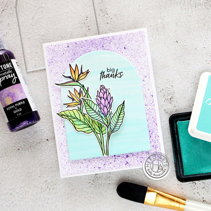 Stamp & Cut of the Month - August 2024