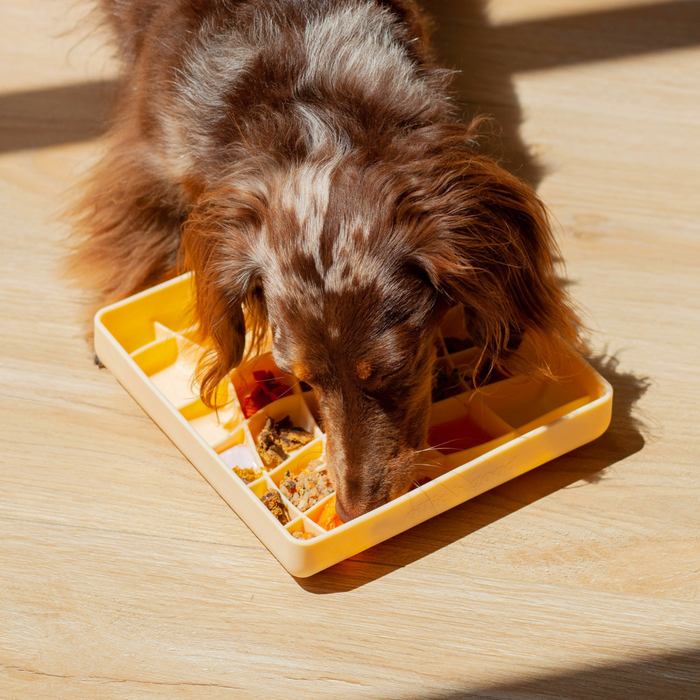 wavies slow feeder bowl | clementine