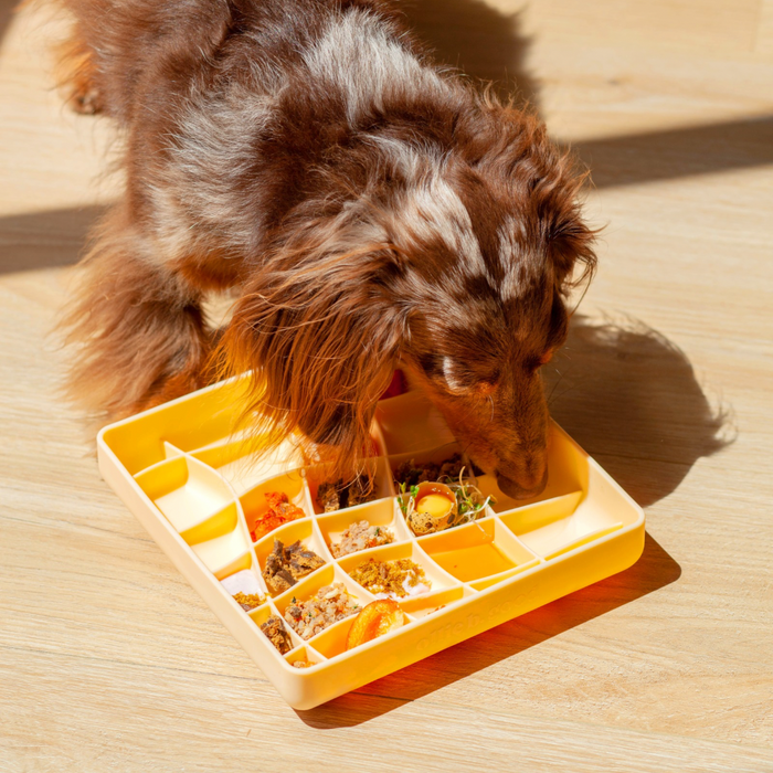 wavies slow feeder bowl | clementine