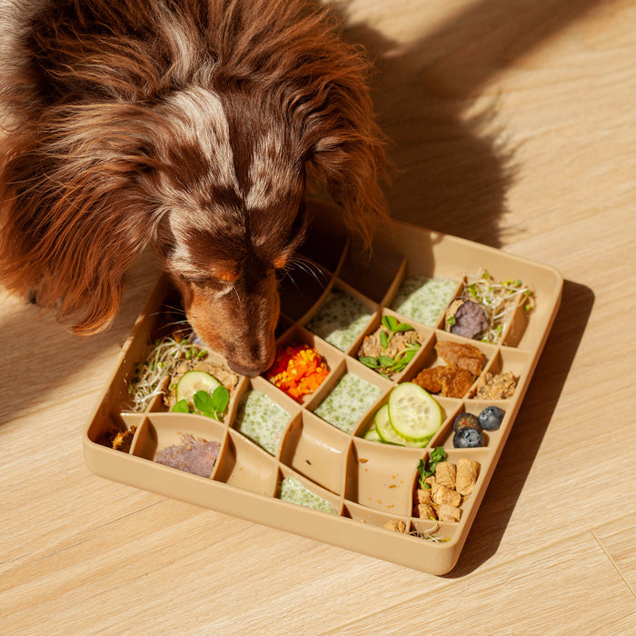 wavies slow feeder bowl | mushroom