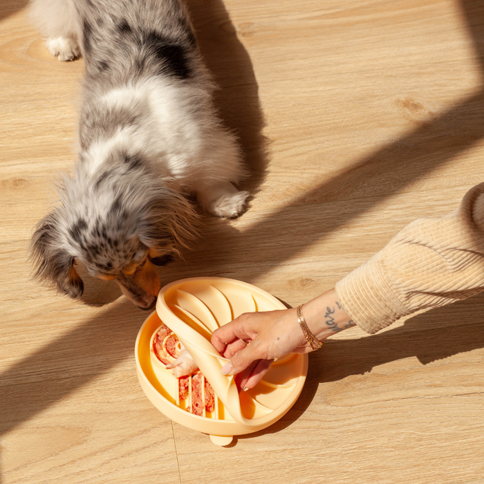wheelies lick mat & lid | clementine