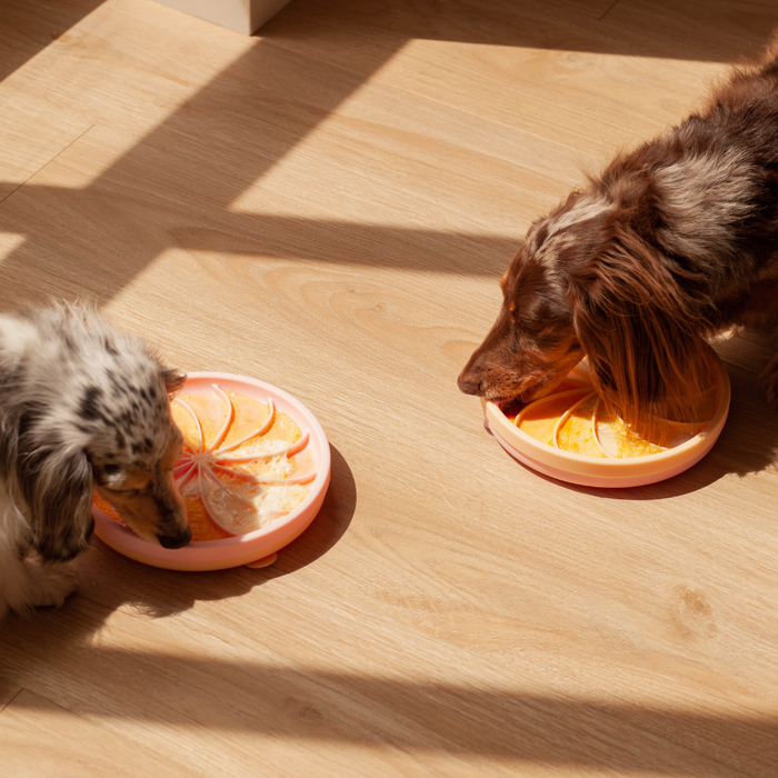 wheelies lick mat & lid | clementine