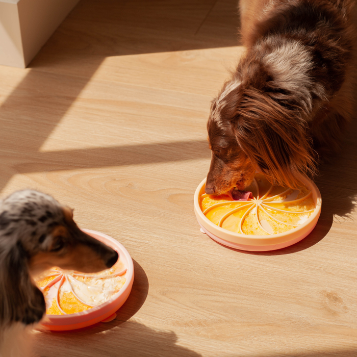 wheelies lick mat & lid | clementine