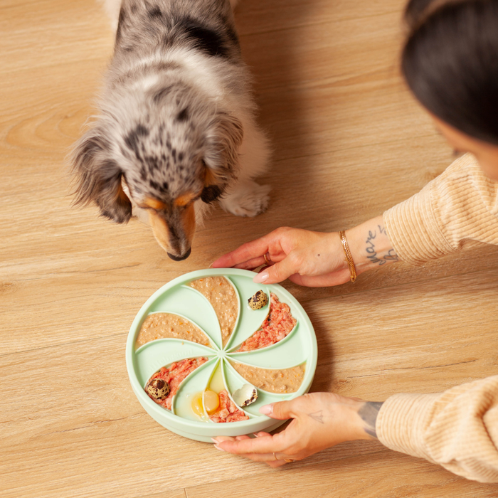 wheelies lick mat & lid | cucumber melon