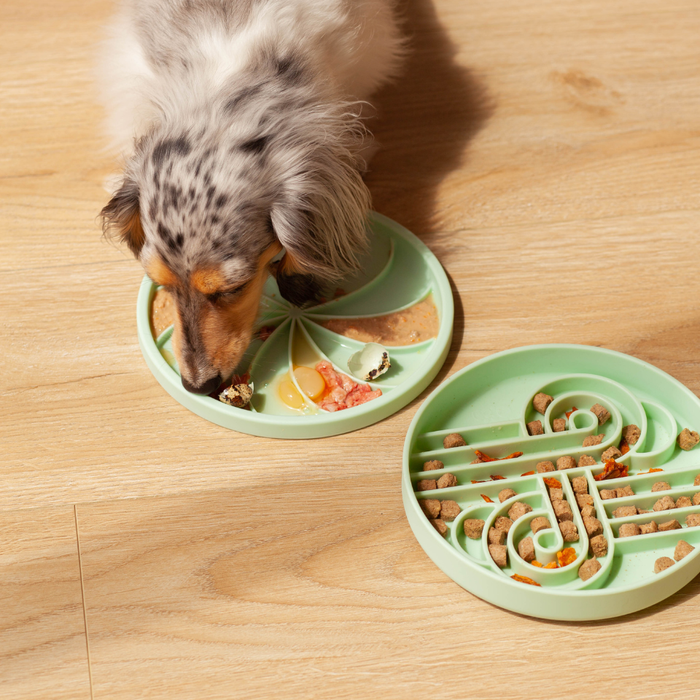 wheelies lick mat & lid | cucumber melon