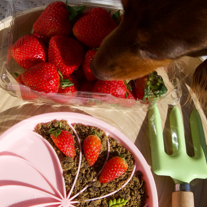 wheelies lick mat & lid | strawberry