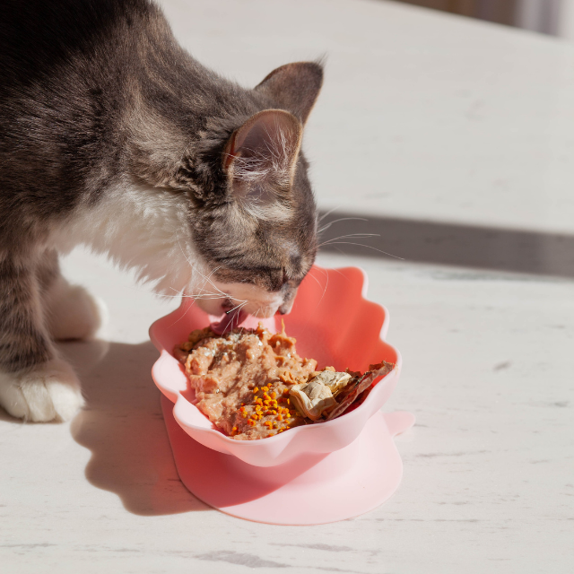 whiskies cat bowl | strawberry
