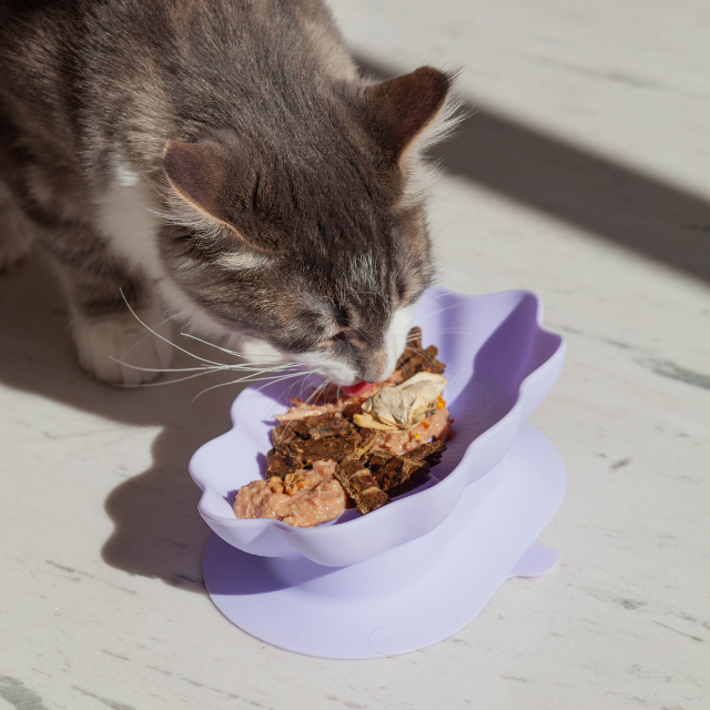 whiskies cat bowl | viola